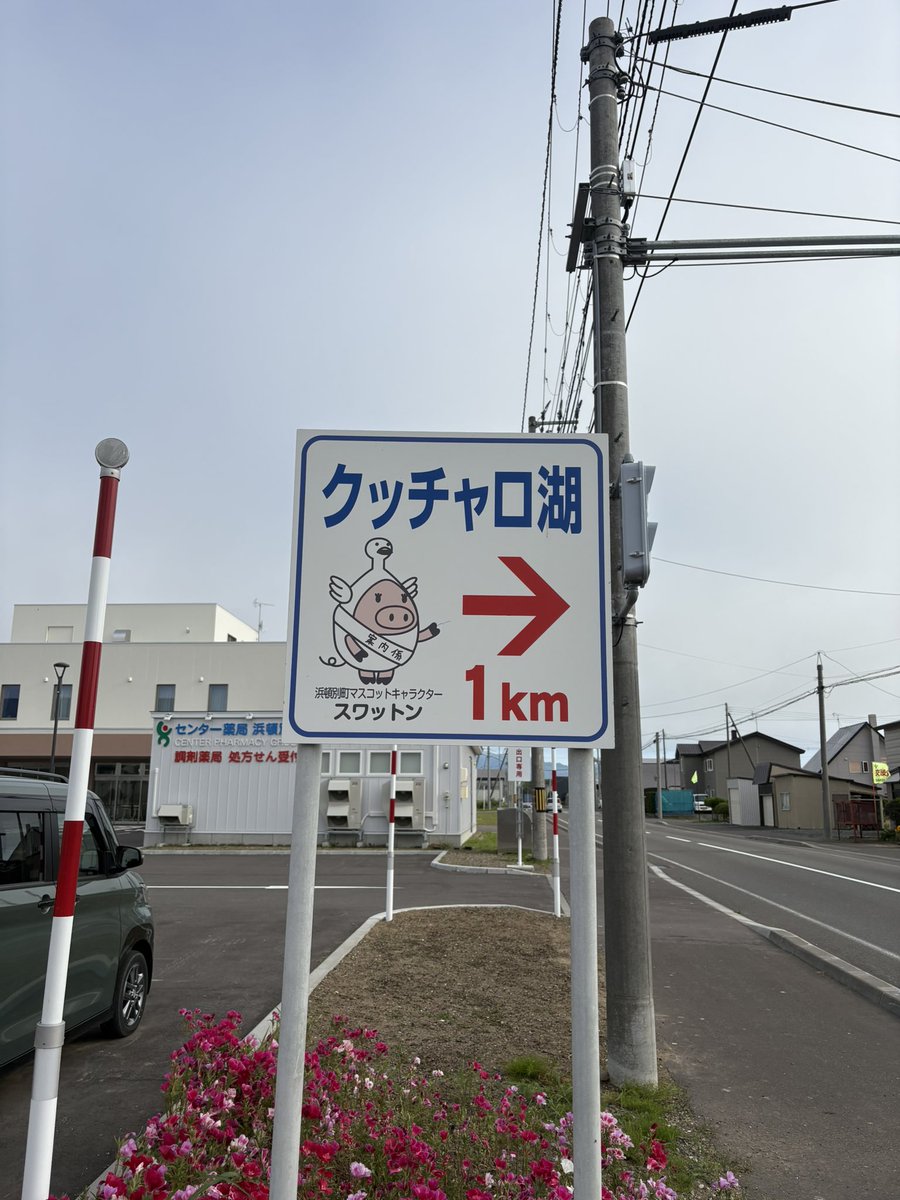 afro_trader's tweet photo. バイク旅7日目

豊富町→浜頓別町

豊富温泉に入りたくてオープンまで周辺を走った。展望台、原野、牧場、海沿い
人気な温泉なので混んでた

クッチャロ湖畔キャンプ場
ここも人気なので混んでた
歩いて行ける温泉に入った

夕方曇って夕陽が見れなくて残念だったけど夜中に雲は少なく流れ星が見れた https://t.co/WYZmm8HpXq