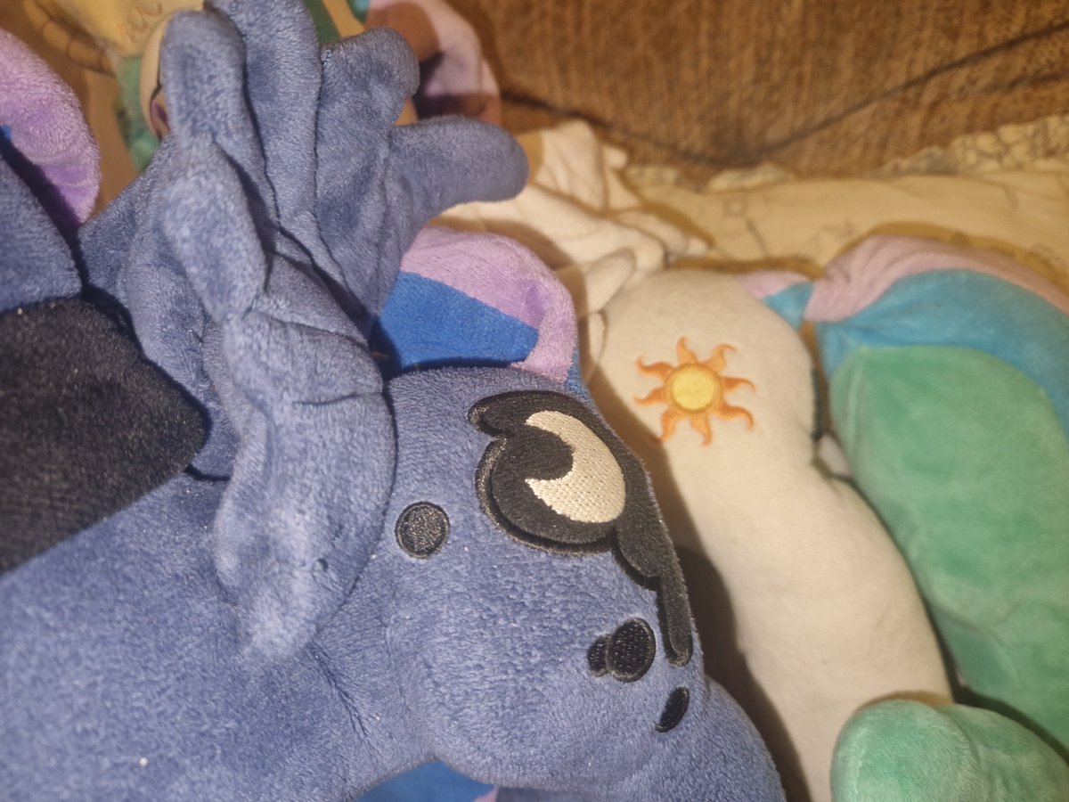 Cure_Fox22's tweet photo. Managed to capture the eclipse today. ☀️🌙🦄

#mylittlepony #princesscelestia #princessluna https://t.co/bBrpOIRqlf