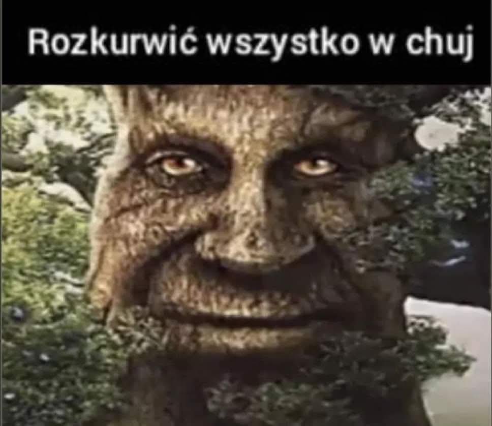 Bingus2115's tweet photo. Naprawde, to co kacper dzisiaj odjebał przeszlo ludzkie pojecie https://t.co/UMF6fxyUvF
