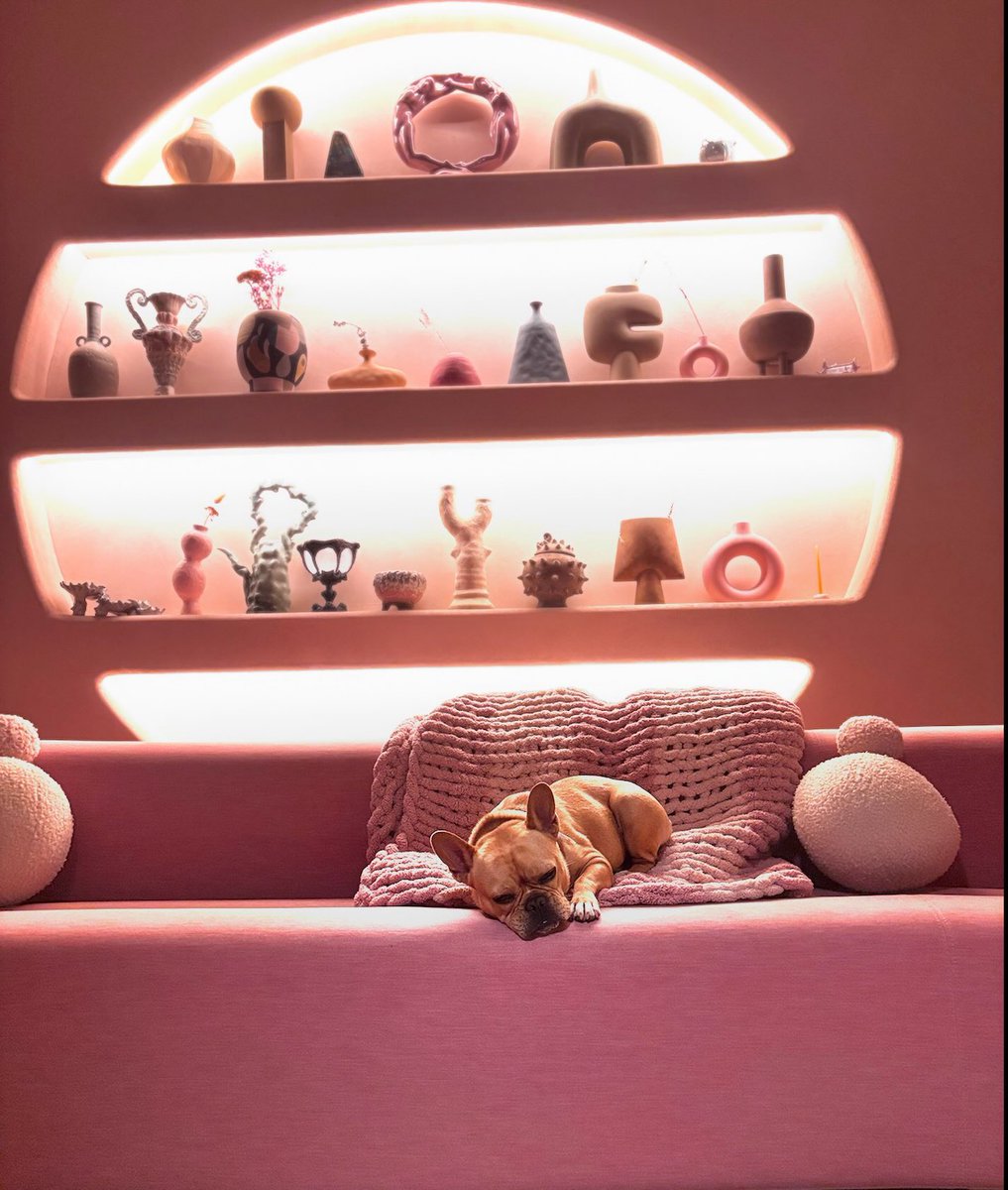 LlVlNGDECEASED's tweet photo. Melanie Martinez launches a new Instagram account (@/peanuts__playhouse) for her dog Peanut. 🥹

"⟡the official peanut martinez ⟡
french bulldog, public figure, model, philanthropist, princess 🐾
(account managed by humans)" https://t.co/uMchRzjec8