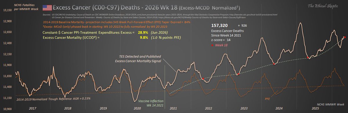EthicalSkeptic's tweet photo. Now, using these same TES model disciplines that have proven themselves over time, we examine excess cancer mortality.

This is NOT GOOD NEWS... 8.9% Excess Mortality as of Week 18 2026 - with an out-of-season jump arriving over the last 6 weeks alone (no lag-adjust in these numbers).

Cancer Mortality continues its climb to excess above and beyond baseline in the US.  Now at 925 excess deaths per week. Only 11% of this excess is Pull-Foward Effect.

The argument is over. The Party lied to you - and injected you with a cancer-causing agent. The excess cancers you hear about are NOT merely anecdotal.

This arrival distribution will persist for the next 40 - 60  years, based upon precedent.

Government officials, regardless of your political leanings and even if done quietly, we should be preparing now to handle this onslaught.

Accountability will be hashed out in the history books, but right now we need to do the best we can to head this off.