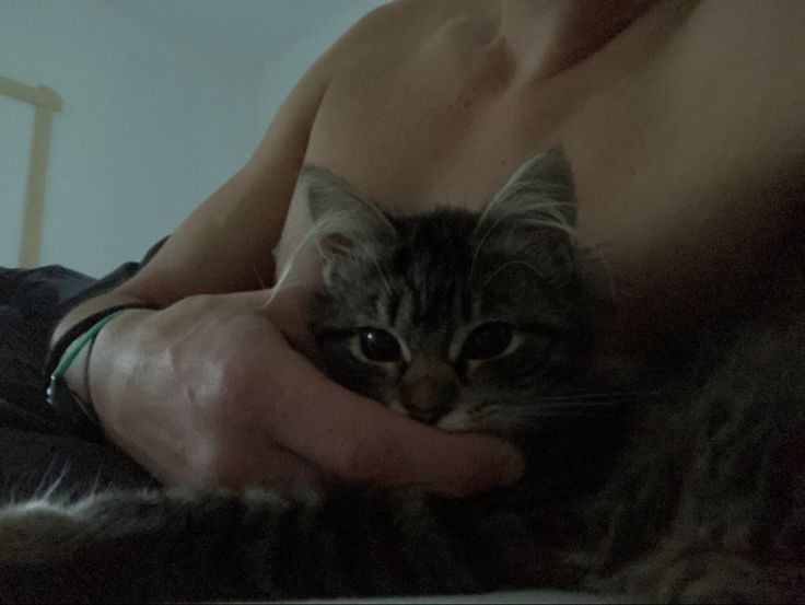 ZayneDom's tweet photo. My adopted son meets me at the door every evening when I come home, deciding it’s cuddle time—I’m sure he’d rather be in his father’s arms at the moment. But for now, he is stuck with me with Jem on vacation. We miss him don’t we, Thistle?
#ZayMiah
#JemBear
#Snowsprout https://t.co/TQisM9ThLZ