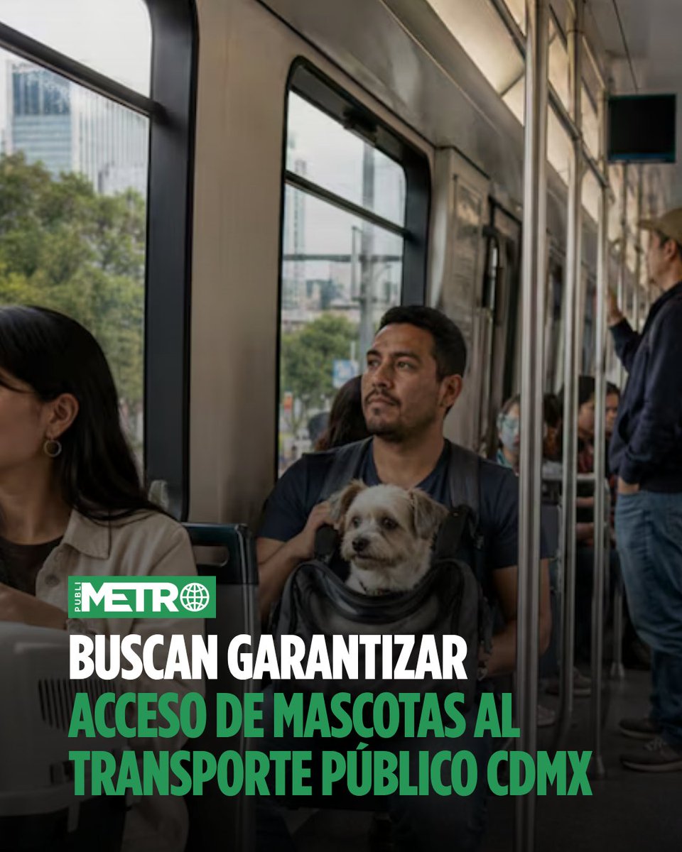 PublimetroMX tweet picture