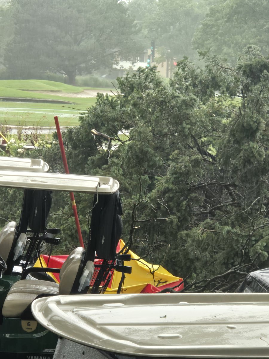Danimal8681's tweet photo. @Grantpa23 @IllinoisGolfer This was 2.5 weeks ago. Was there that Monday for an outing. https://t.co/qdVpPJM9tu