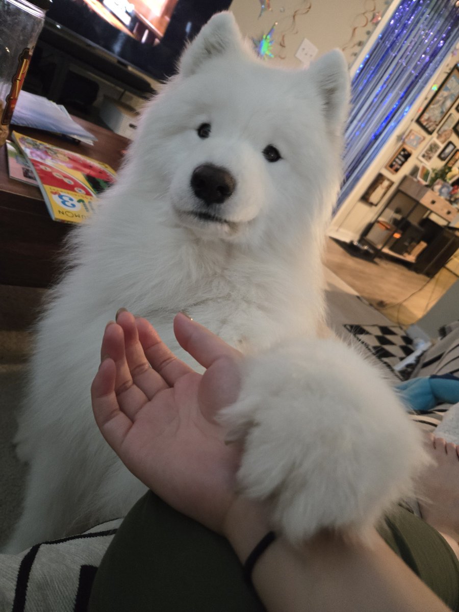 setox8's tweet photo. https://t.co/dWFyHIN3Vj