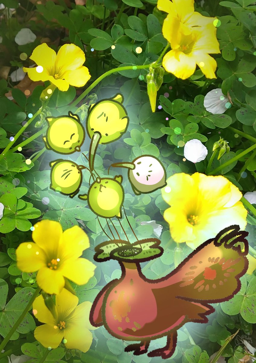 Kokeaka1's tweet photo. おはようございます☀
草むらを撮った写真から、オリキャラを想像してみました〜
小鳥の疑似餌で自分の食道に獲物をおびき寄せる、というちょっとホラーな子になっちゃいました😅
名前:オトシカズラ
性格:つよがり
#オリキャラ #一次創作 #添え絵フォト #SoePhoto https://t.co/Qu4Tt7xYY0