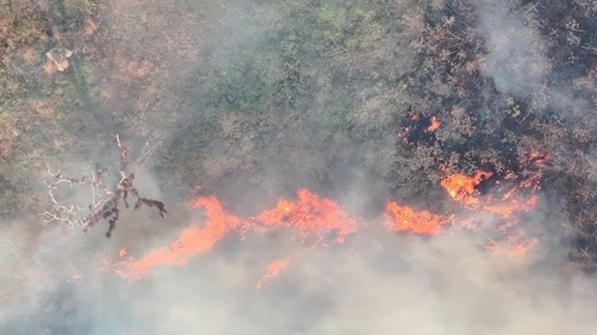 gumerdlp's tweet photo. 🚨 ¡LA SERRANÍA DEL PERIJÁ NO PUEDE SEGUIR ARDIENDO!

Desde el departamento del Cesar solicitamos a la @UNGRD la intervención nacional inmediata ante los incendios forestales que afectan a Manaure Balcón del Cesar y Curumaní.

Las llamas amenazan nuestras comunidades rurales, fuentes hídricas, bosques, fauna y áreas de gran valor ambiental. La capacidad local no es suficiente frente a la magnitud de esta emergencia.

Exigimos el despliegue permanente de aeronaves cisterna, brigadas especializadas, equipos y personal técnico hasta lograr el control total de los incendios.

Cada hora cuenta. El Cesar necesita una respuesta inmediata, suficiente y sostenida del Gobierno nacional.

¡Salvemos la Serranía del Perijá!

CARLOS GUMER DE LA PEÑA DURÁN
Representante a la Cámara por el Cesar

#SerraníaDelPerijá #SOSPerijá #Cesar #UNGRD #IncendiosForestales #EmergenciaAmbiental @MinAmbienteCo @UNGRD @GobdelCesar @Corpocesar @MinInterior @policia @DapreCol @CamaraColombia @SecreCamaraCol @partidodelaucol