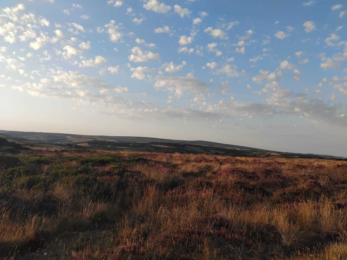 RachelGilmourLD's tweet photo. Exmoor this evening on my way home from the Exford Show and a scrumptious supper at The White Horse in Exford with the lovely Rob Schimdt. #MostBeautifulBitOfTheUk #Somerset #Devon #Exford https://t.co/a9vG9dSwdD