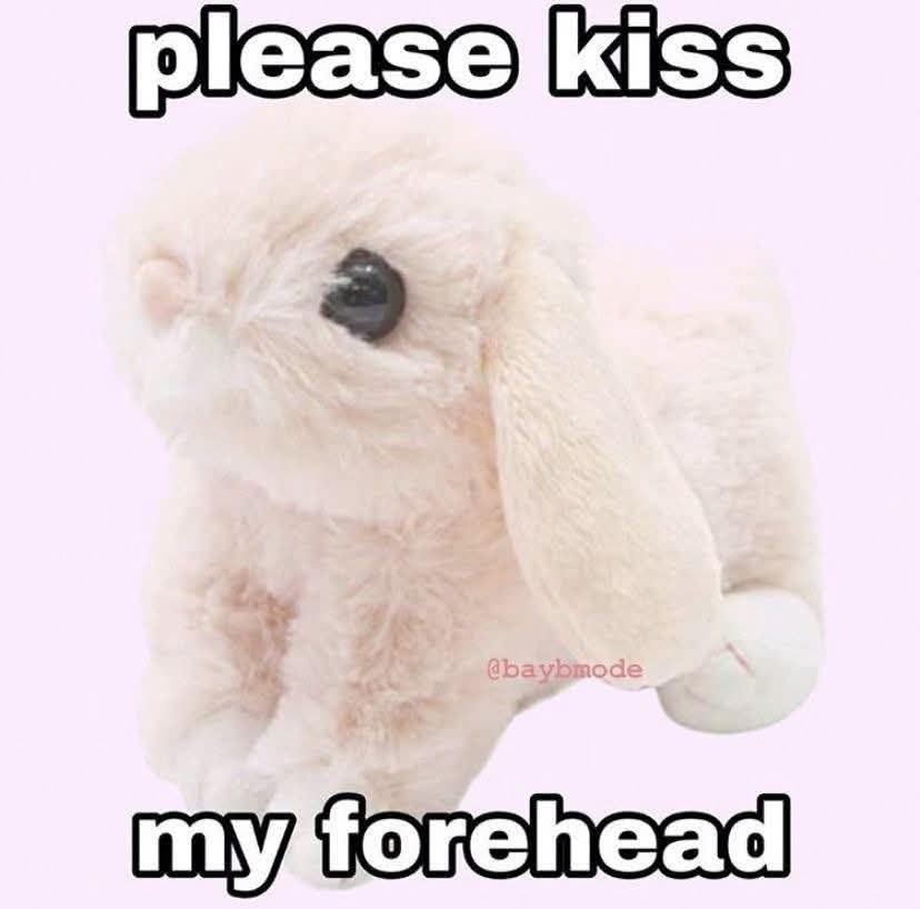 kitsukiddo's tweet photo. kiss kiss ?? :(( https://t.co/3neO0Gw0RT