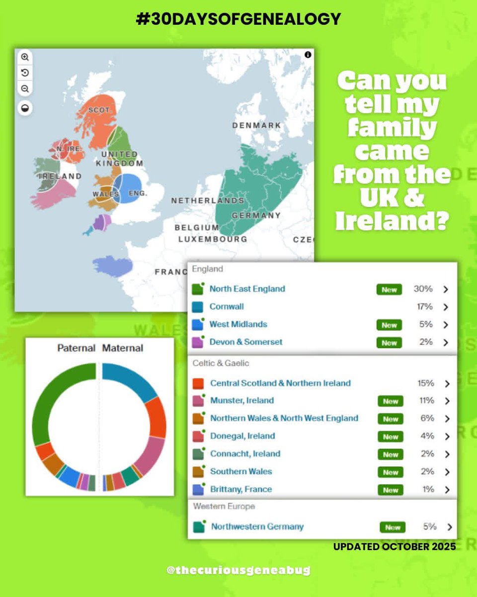 curiousgeneabug's tweet photo. 🧬 day ten: a dna discovery

I did my DNA test through Ancestry like 10 years ago, but I've not really tapped into the potential of the links DNA can open up.

My ethnicity estimate is pretty interesting through.

#genealogy #familyhistory #familytree #ancestry #geneablogger https://t.co/NfrJvndJdz