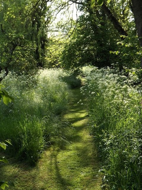 elyradream's tweet photo. beauty of nature https://t.co/oOD008t61o