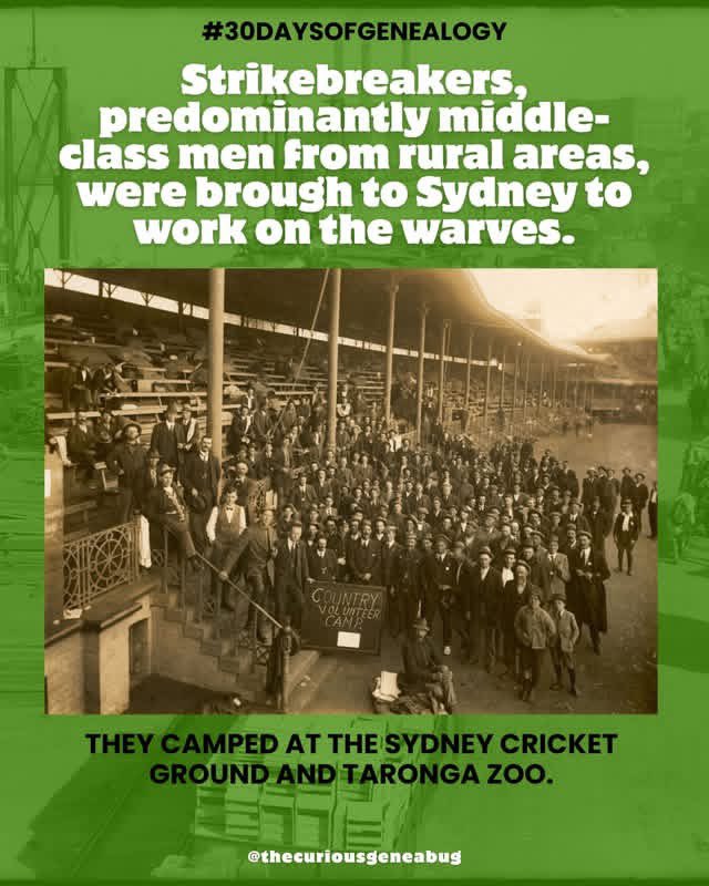 curiousgeneabug's tweet photo. 🧑‍🌾 day nine: favourite story you've uncovered

OMG how do I choose just one favourite story - there's SO many of them!. This one actually features in an upcoming podcast episode, so I'll give you the condensed version here! 

#genealogy #familyhistory #familytree #ancestry https://t.co/tGXNcLRHyh