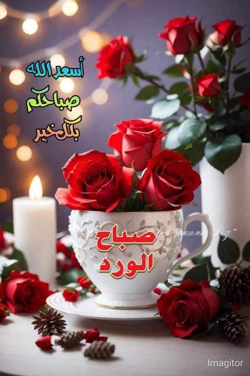 by_luck's tweet photo. #صباح_الخيـر https://t.co/ISR3ZtvMqp
