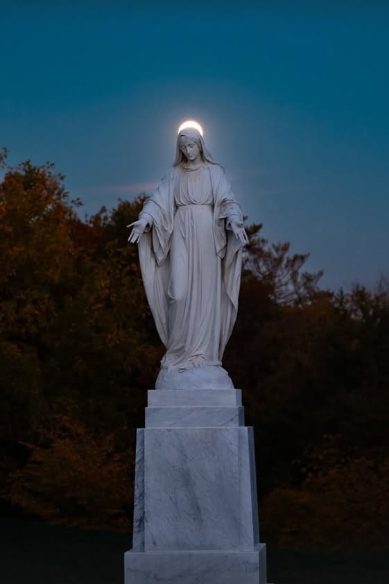 Santododia1's tweet photo. À vossa proteção recorremos, santa Mãe de Deus;
Não desprezeis as nossas súplicas em nossas necessidades, mas livrai-nos sempre de todos os perigos, ó Virgem gloriosa e bendita. ✝️
O Senhor todo-poderoso nos conceda uma noite tranquila e, no fim da vida, uma morte santa. ✝️ https://t.co/PFVikEEZ7u