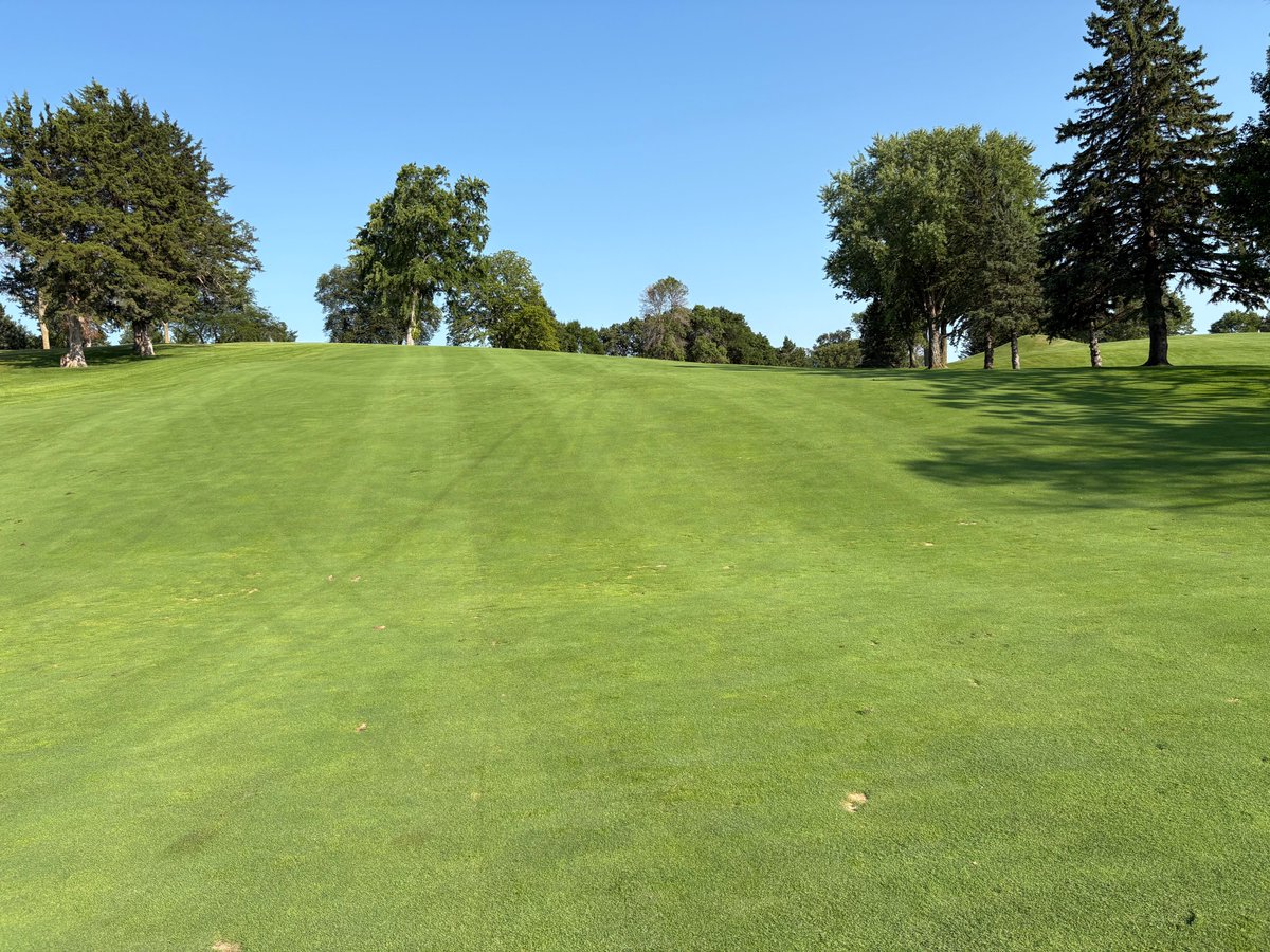 GolfLoonsMN's tweet photo. Here's a few great pics from #9 at Le Sueur Country Club.  This hole has great elevation, a demanding tee shot, and a green that falls off on 3 sides.  Great way to finish the front 9!  
Here's a link to listen to our latest podcast on Le Sueur CC....
https://t.co/IFJtaTsFTR https://t.co/7W0V3sXq7v