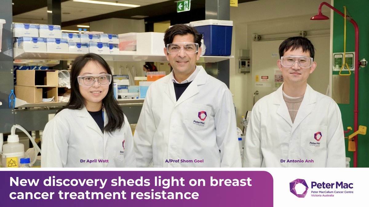 PeterMacCC's tweet photo. Peter Mac researchers from @shomgoel's lab have uncovered why breast cancer treatment stops working for some patients.

Published in @Nature, the discovery could help develop new treatment combinations that work for longer and improve outcomes.

More: https://t.co/Awks5JLm22 https://t.co/xF2kfDpzNq