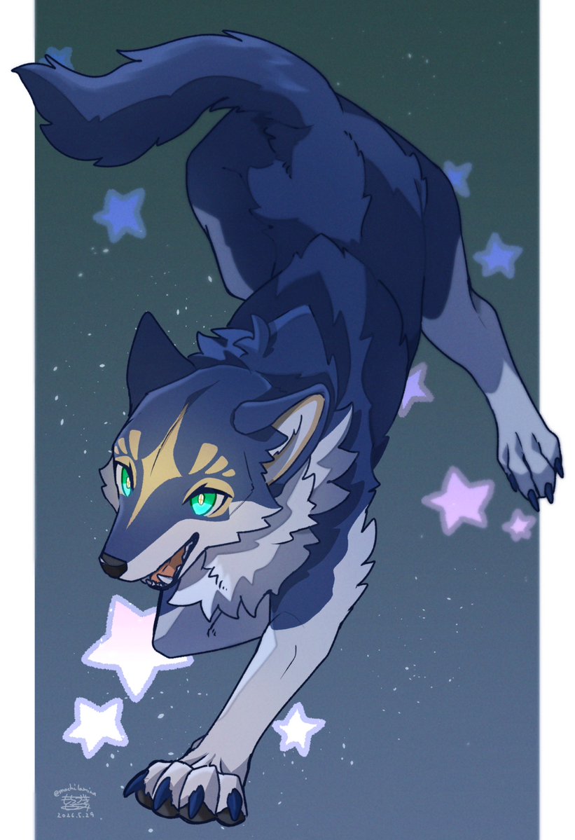 国際オオカミの日 なので、うちの星守狼を🌟
