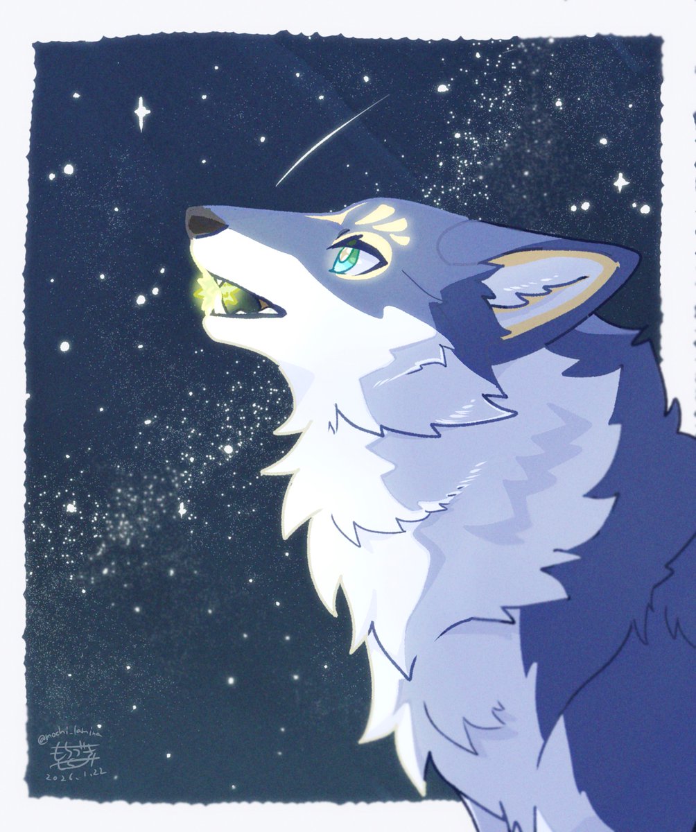 オオカミページ 国際オオカミの日 なので、うちの星守狼を🌟