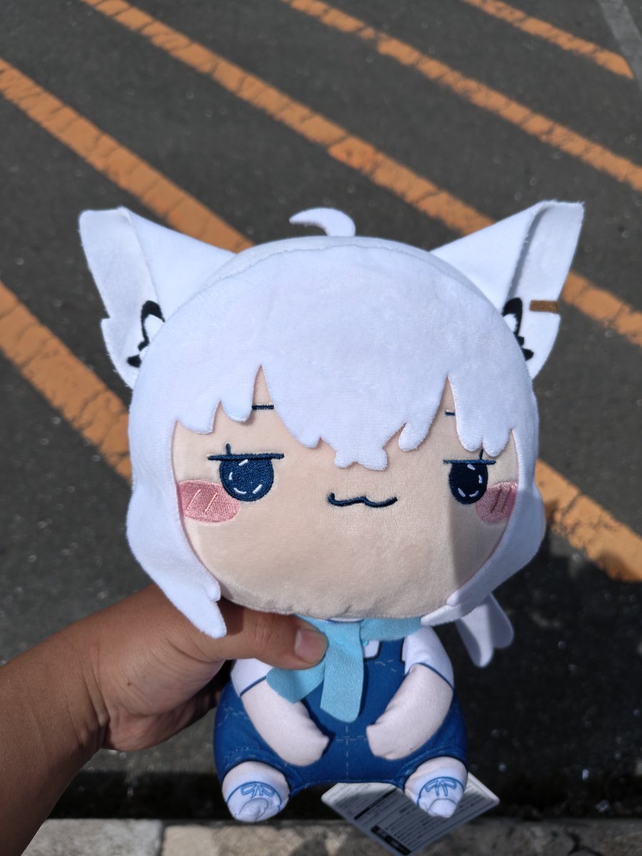SyaruFate's tweet photo. また、新たな白上フブキを家に迎えてしまったた…… https://t.co/Jrz0yLpEy1