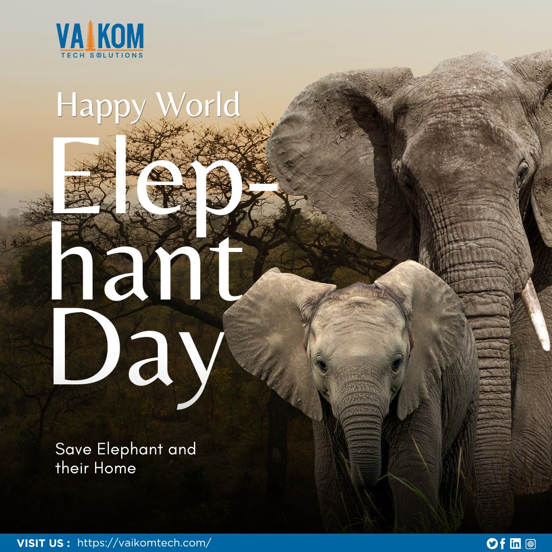 LtdVaikom's tweet photo. Happy World Elephant Day! Let’s protect these magnificent giants, preserve their natural habitats, and stand against wildlife cruelty and illegal poaching.
Save elephants, save our forests, save our future.
#WorldElephantDay #SaveElephants #WildlifeConservation #ProtectNature https://t.co/BgAoKgZfrq