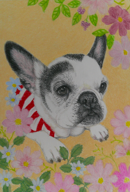 haloumaman's tweet photo. 皆さまのお宅のワン🐶ニャン🐱を描かせて頂けないでしょうか🙇
障害年金しか収入がないので、絵のご依頼を頂けますと大変助かります😊
絵に関するお問い合わせや、ご依頼などはチャットのほうまで宜しくお願い致します🙏
絵はB5 判の紙に色鉛筆でお描きして２５００円、一枚の紙にお二方お描きして４０００円になります😊
＃ペットイラストオーダー　＃色鉛筆画