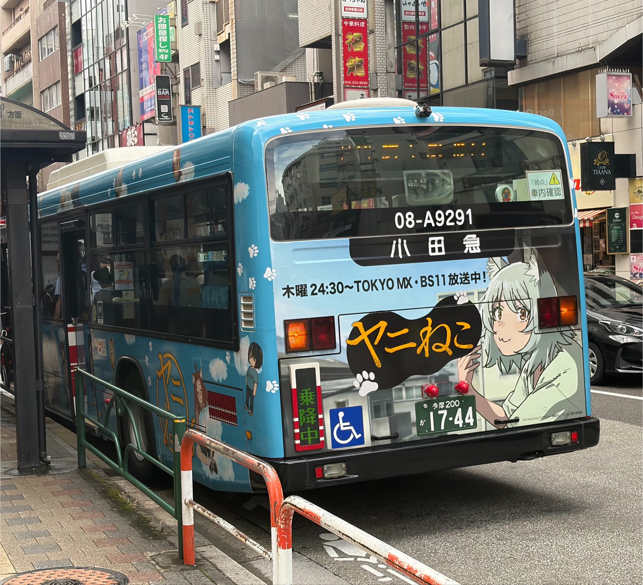 屋久ねこお on X: 
