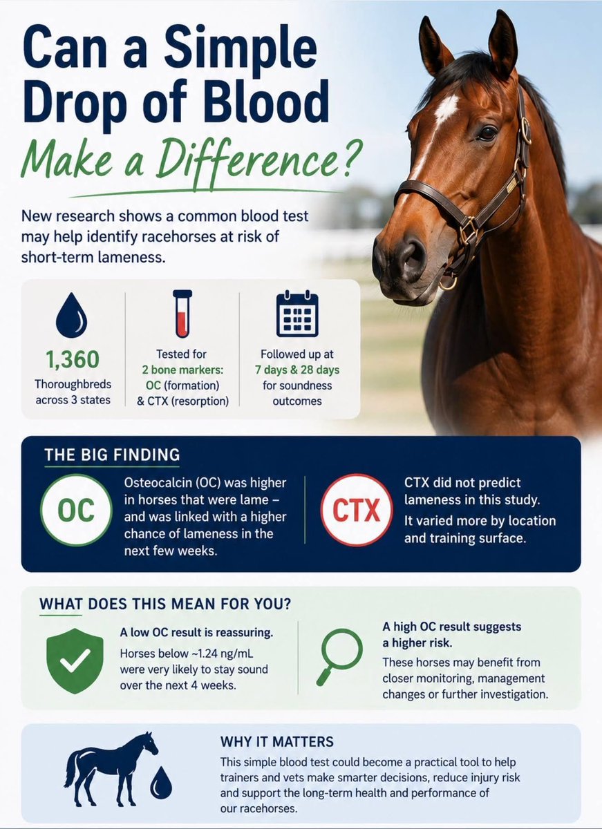 JohnnyWyz36752's tweet photo. LDX Lumos Diagnostics set to provide tests for high performance racing animals globally
1st mover advantage, ahead of the pack https://t.co/wOeKdvtEuu