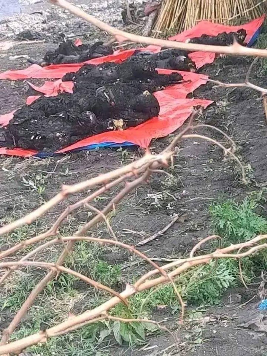 JarsoDaga's tweet photo. @Amhara_GCAO #Genocider FANOAMARA be heading killing innocent Oromo citizens in OROMIA 😡😡😡 https://t.co/ryqFFpx8HT