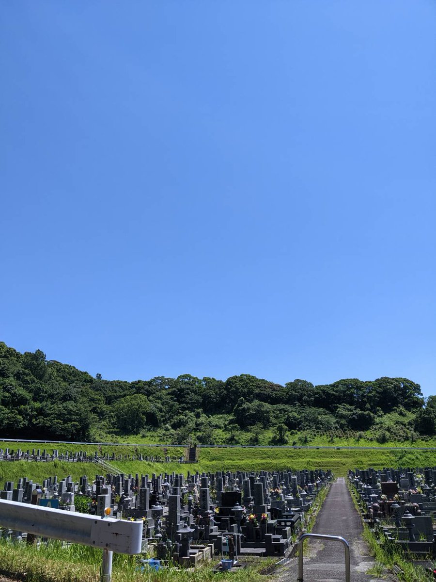 tege0985's tweet photo. どーも！僕です

夏。弊社は超絶繁忙期

草刈り・エアコン清掃・窓フィルム

そしてお墓掃除

毎日、どこかのお墓にいます(笑)

宮崎の夏はてげにお任せください👍

合同会社てげ
中野

#宮崎
#宮崎最安値
#タイガー中野
#犯罪以外はなんでもご相談ください https://t.co/8E1z7PskdA