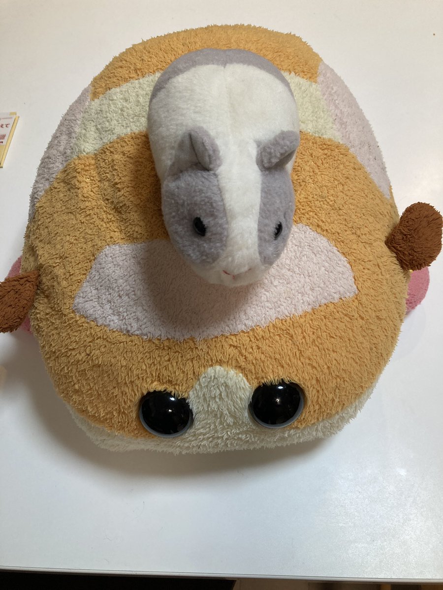 puipui_channel's tweet photo. ご先祖様がプイに乗って帰ってきたプイ https://t.co/cKt1FQHa6Q