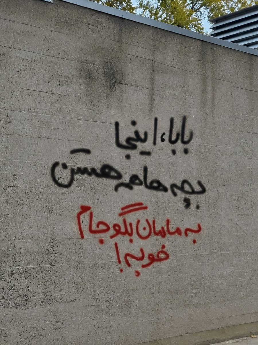 nikooo2024's tweet photo. یاران عزیز،آن طرف بیشترن
🥀🕊️🕊️🕊️ https://t.co/ekIXSFLH9c