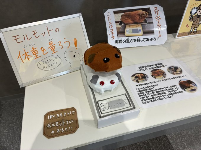 suzaka_city's tweet photo. 8月14日まで、イオンモール須坂にてワークショップに参加しています✨
飼育員のお仕事を体験できます!!
飼育員のお手製の📷掃除体験、とても人気です📷
こちらもご覧ください
https://t.co/1lrhPY0Bap
#須坂市動物園
#須坂市
#Goolight
#イオンモール須坂 https://t.co/AVCjSasx63