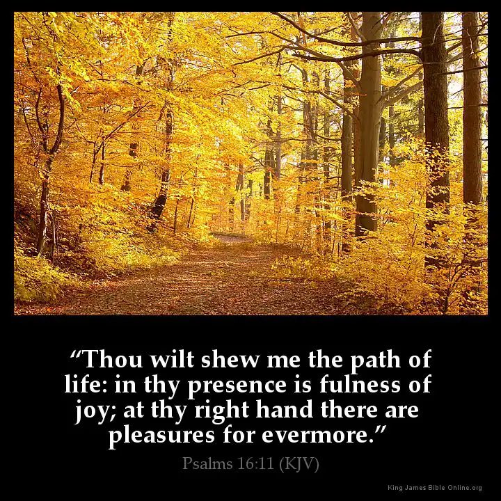 albert70x7's tweet photo. Thou wilt shew me the path of life: 
    in Thy presence is fulness of joy; 
    at Thy right hand there are pleasures for evermore.
Psalm 16:11 (KJV)

#Jesus #Christianity  #Faith #Bible #HolySpirit https://t.co/gYvGkpihTm