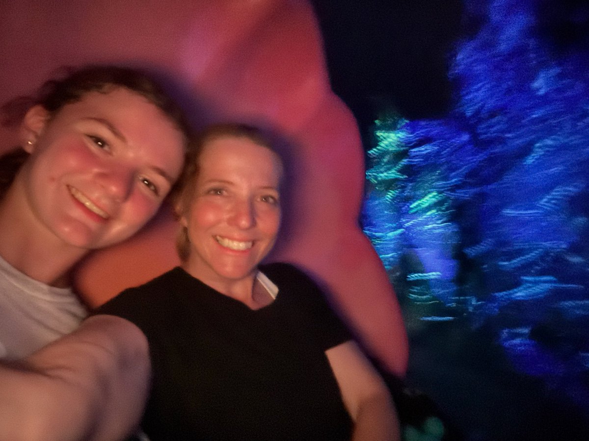 ChrisChin236's tweet photo. Ride #24- Journey of the Little Mermaid
@RideEvery
@RideEveryHQ
#Everyridepoints
@amycotecardenas https://t.co/UAC4cPFsTJ