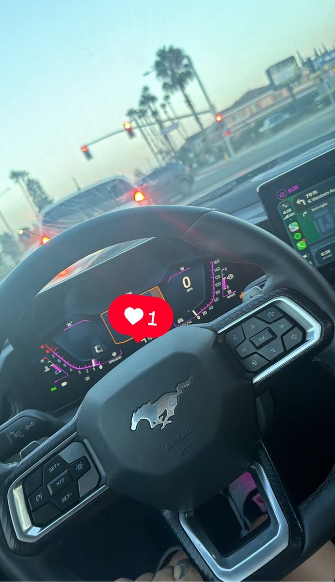 awfullotafa's tweet photo. Riding in the stang while I was riding him 👅#LA #content https://t.co/0ERReIT9Ff
