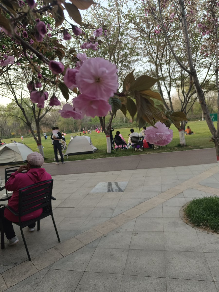 citrusstvae's tweet photo. Join our neighborhood plant swap this Sat 10am at Central Park! Bring extra plants, cuttings or seeds u0026 take home new green friends. Free u0026 all locals welcome! https://t.co/P1XLNPhTxV