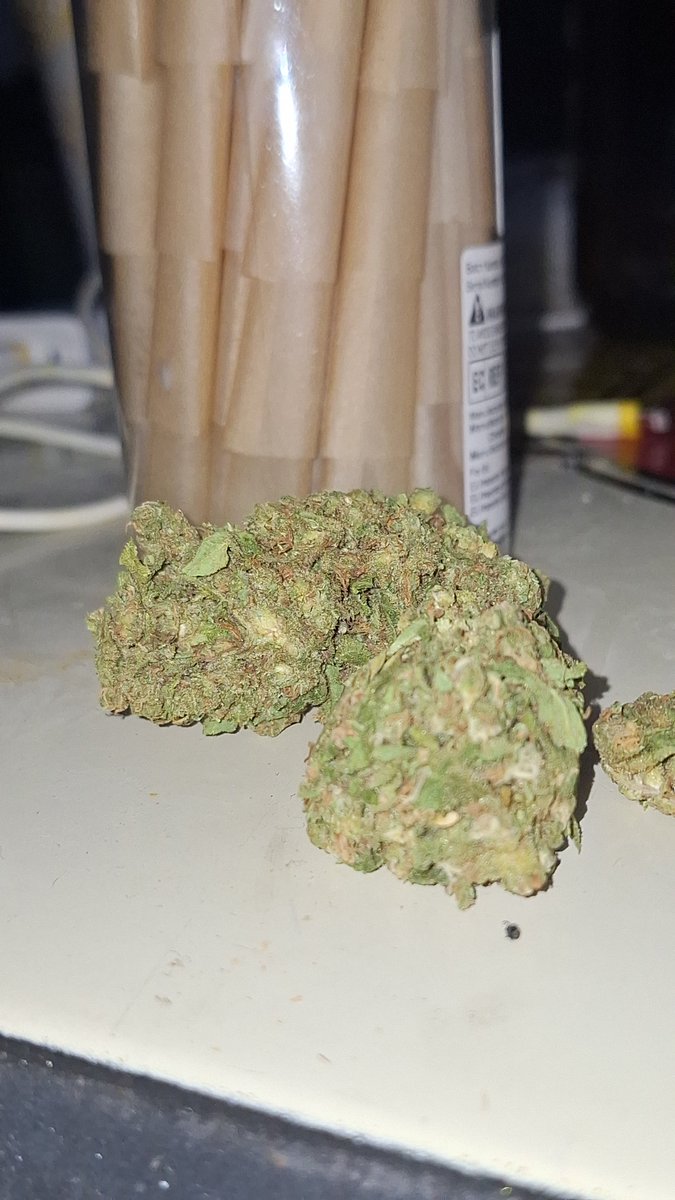 MedicalKB's tweet photo. Ya se viene la nueva cepa, anticipen sus pedidos... Calidad 100% premium por parte de @DpKushballs 🔥⚡👌🏻
#cannabis #kushballs #premium https://t.co/338OylqIxW