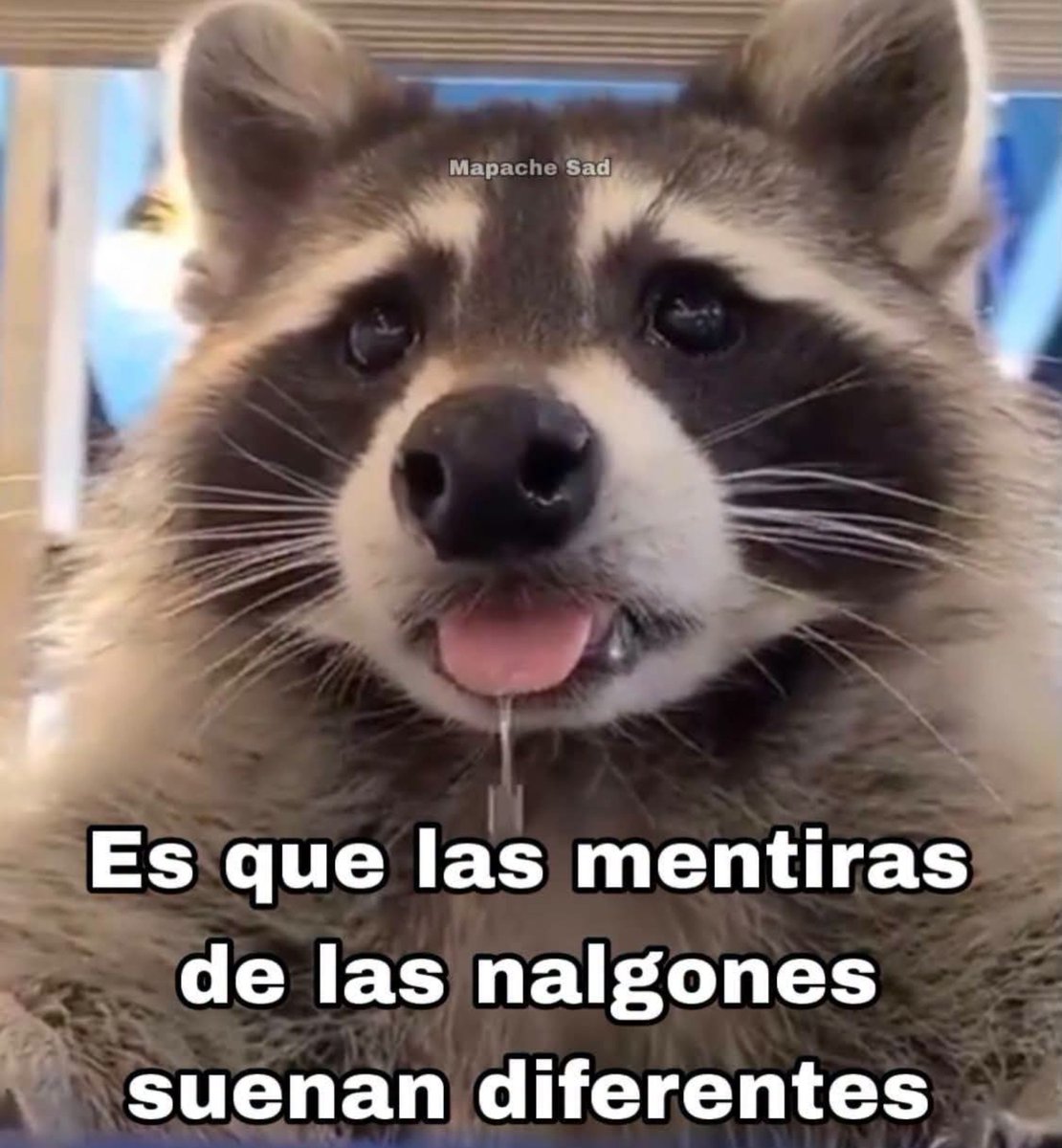 Mr_Flipy's tweet photo. Y sí 🤤 https://t.co/eDue9hZd20
