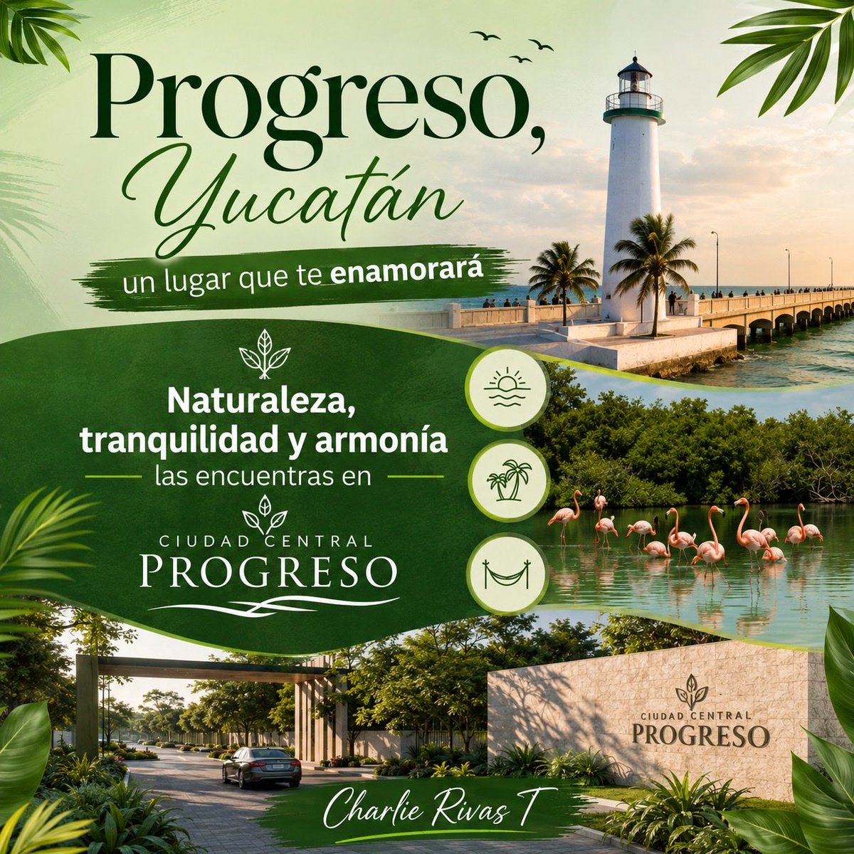 CharlieRivasT's tweet photo. Un lugar especial para vivir e invertir. https://t.co/023PKcEd4L