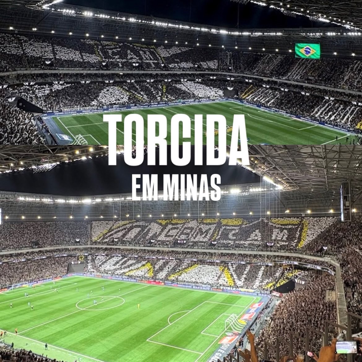 Raiz1908_'s tweet photo. Quem dita o ritmo somos nós 🐓 
Alô, @coletivo1908 ! https://t.co/dAdop4G81H