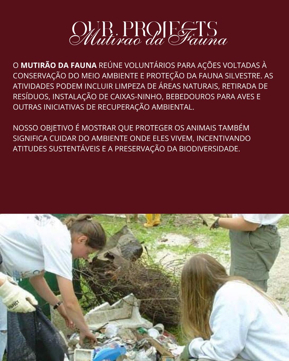 lucevetrp's tweet photo. ˓ 🐾 ձnimal ᧙are ; ᝯompassionate ꫝearts ￢ Ⲙeaningful bonds  #Clinic  〞❚  ᨰelness First &amp; Healthy Lives ⁾⁾ ᥪׅׅ𝗟𝘂𝗰𝗲𝗩𝗲𝘁 .ᐟ

CONHEÇA NOSSOS PROJETOS:
— Dia da Fauna Silvestre
— Mutirão da Fauna
— Dia da Castração Solidária
— Ensaio para Adoção https://t.co/5YZl5STKuI