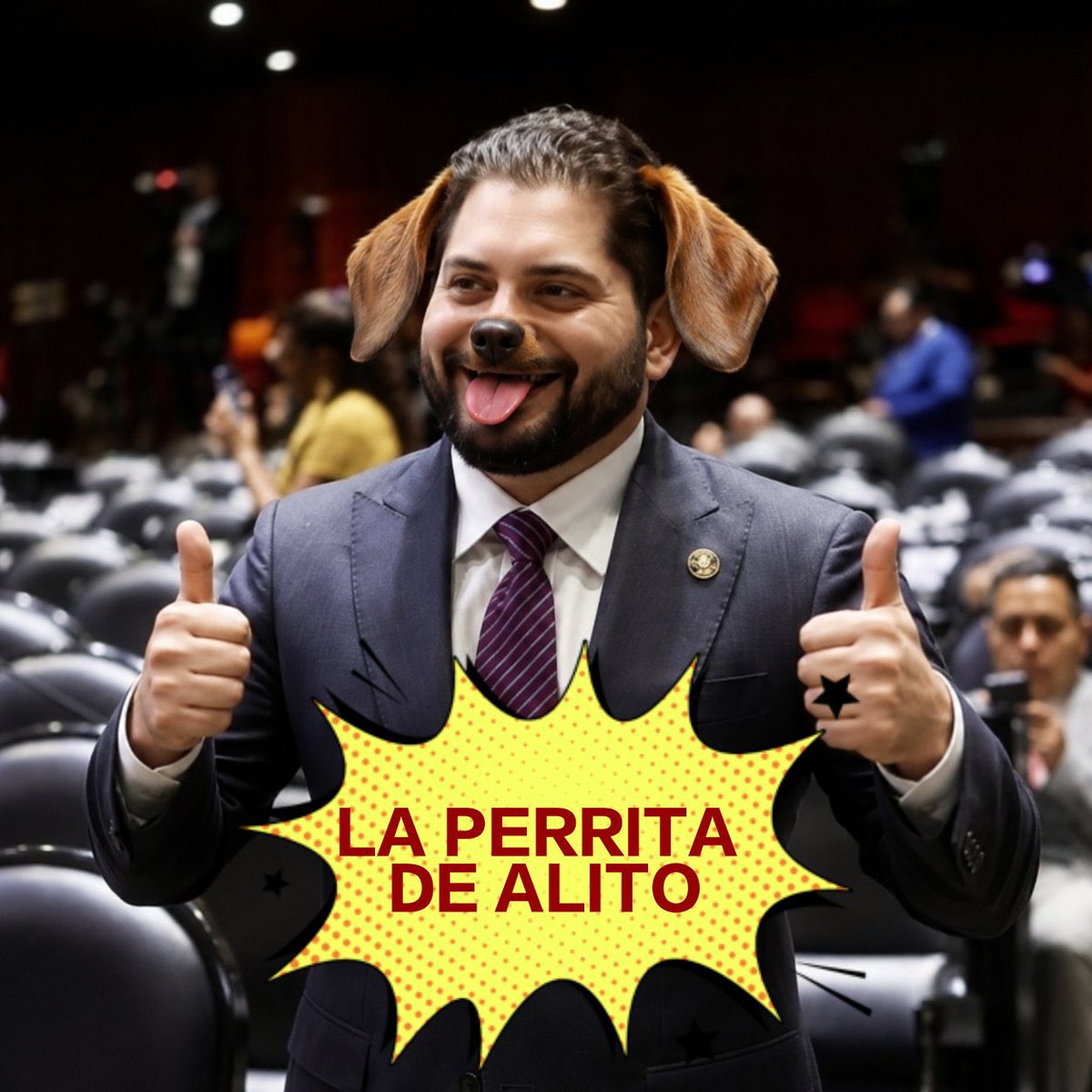 RujanusB's tweet photo. Carlos PRImate Gutiérrez
@CarlosGMancilla
#PRImate
#DiputadoPRImate
#PerraDeAlito https://t.co/43DSn1vHhu