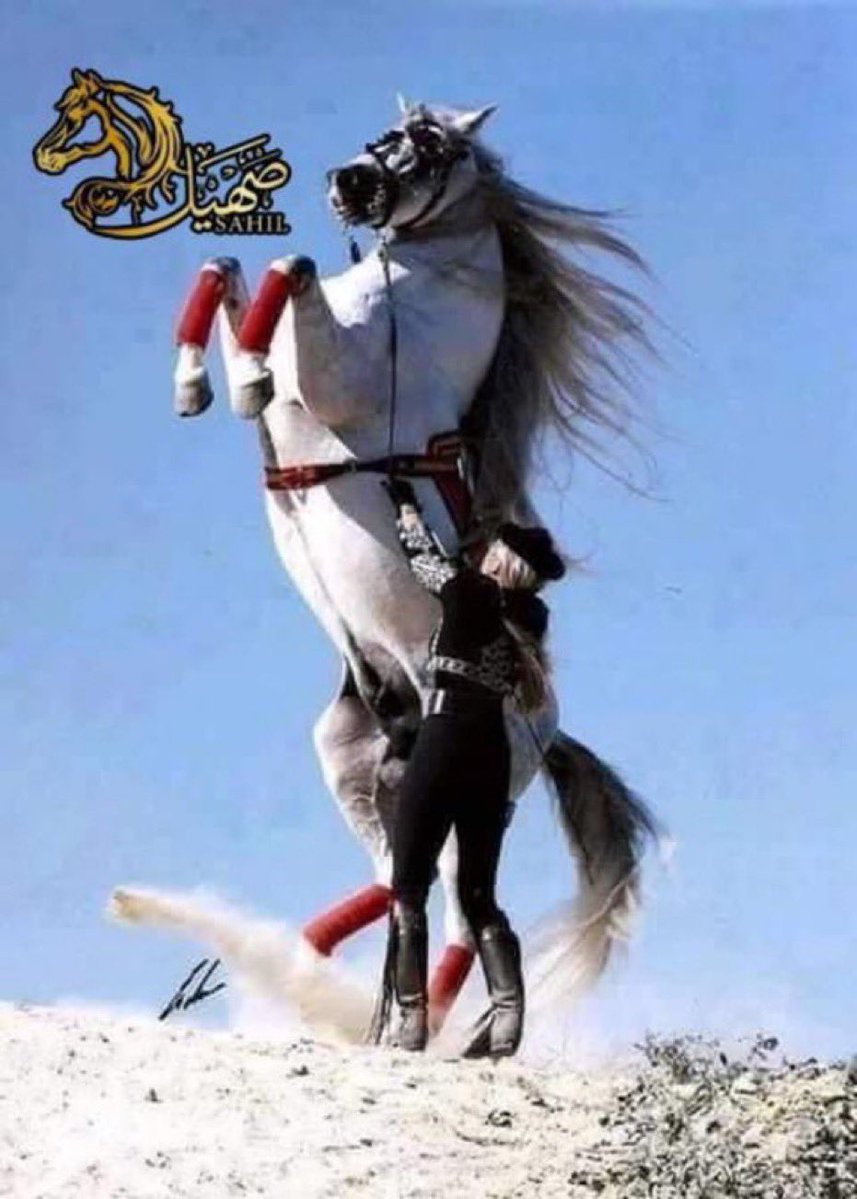 3zoooz44's tweet photo. مع الوقت يتعلم الأحمق 
تبرير حماقته لتتحول 
إلى حقارة مطلقة . https://t.co/nMiwekAXWj