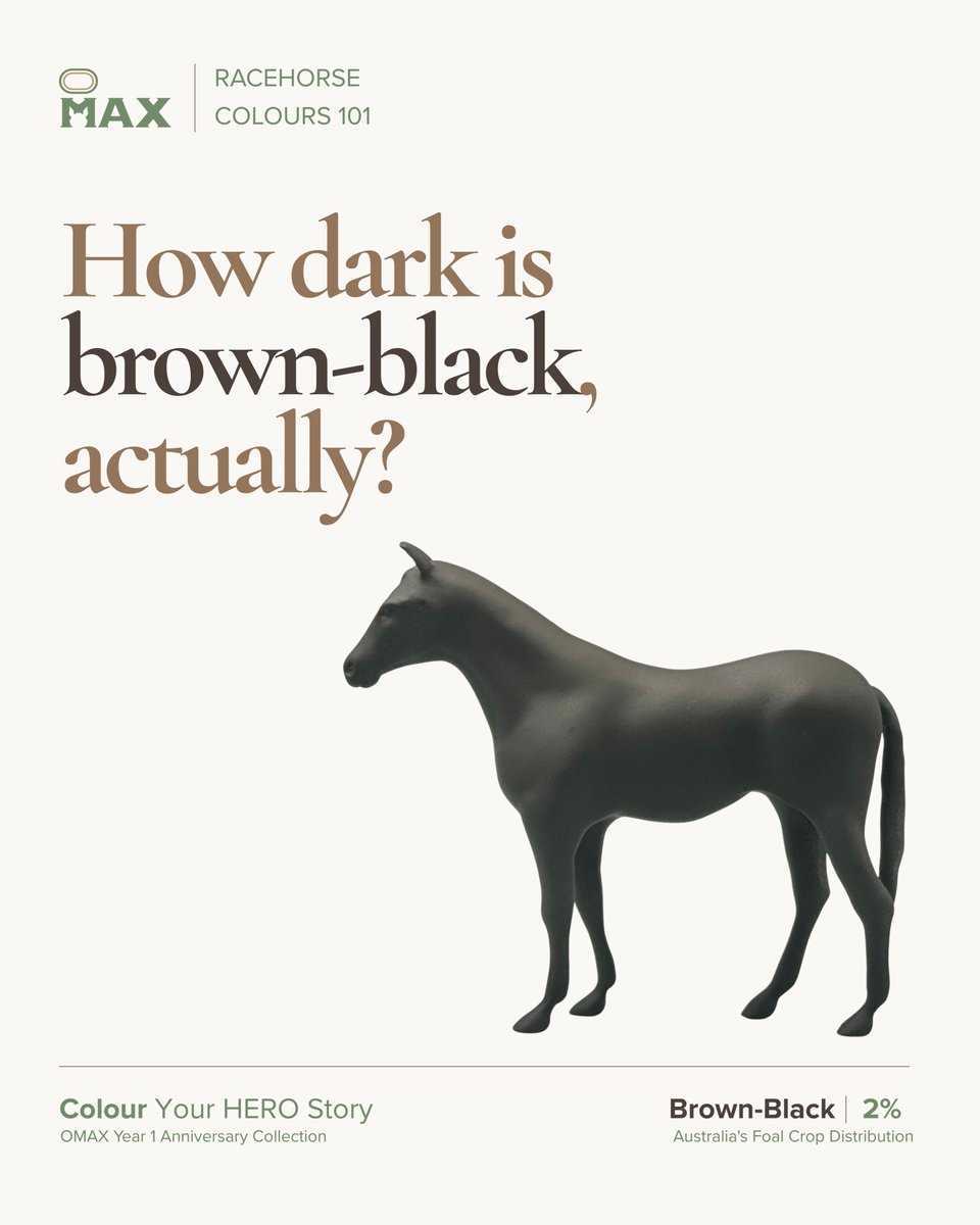 OmaxHero's tweet photo. 2% of foals born in Australia last season were brown-black.

Explore our new Colour Crop Collection, inspired by the 2025–26 Australian foal crop. Each model represents 1% of the coat colour distribution. https://t.co/NEs5lm6Q5k