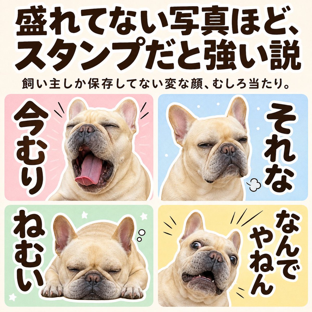 petasticker's tweet photo. https://t.co/mIL0EFF5Ee