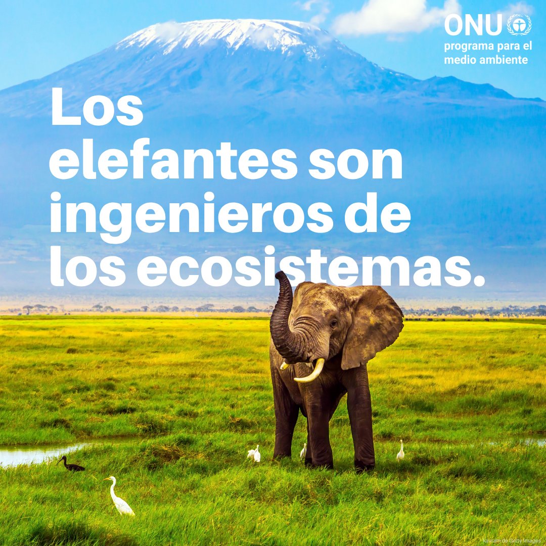 unep_espanol tweet picture