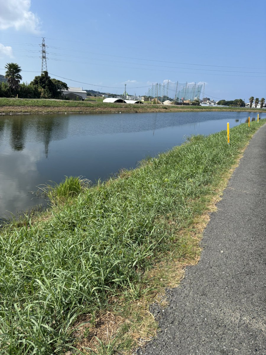 okisama12's tweet photo. 朝の散歩気持ちよかった🚶 https://t.co/pCLxEILLy6