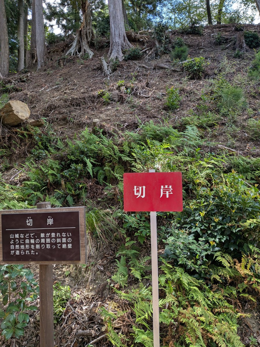 kakefu_31's tweet photo. 岐阜県　菩提山城🏯　8/11☀
初登城🏯堅堀、切岸など見どころ満載でした😊一宮インター周辺の渋滞で福井行きを断念、急遽行き先を変更したので勉強不足…見れていない遺構が沢山ある事を下城後知る😵また行かねば😅 https://t.co/8wUFJrlweY