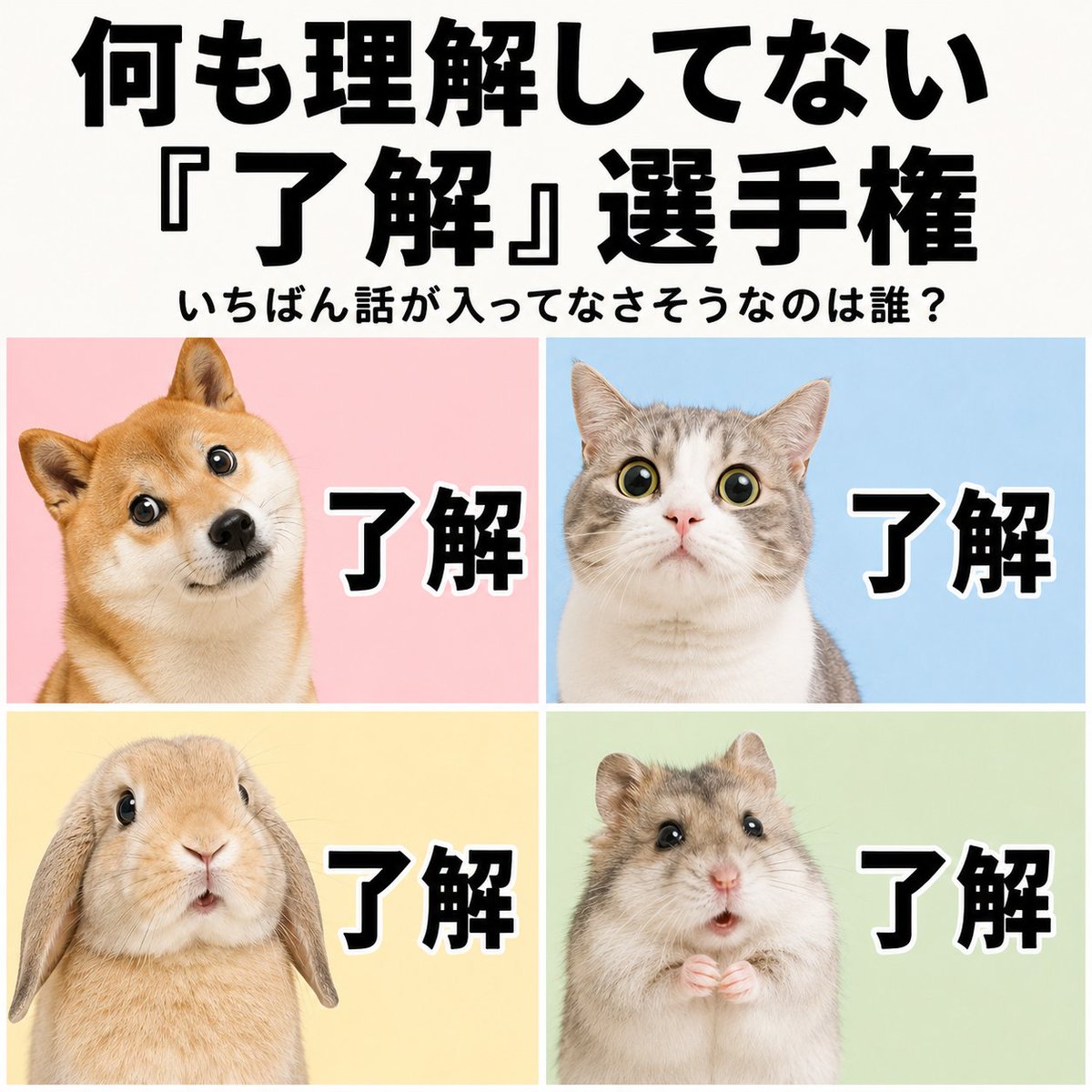 petasticker's tweet photo. https://t.co/5d4SI2iQmh