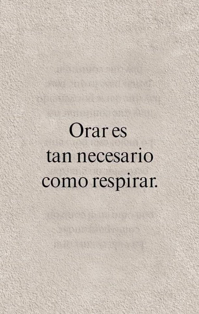 Nefisito tweet picture